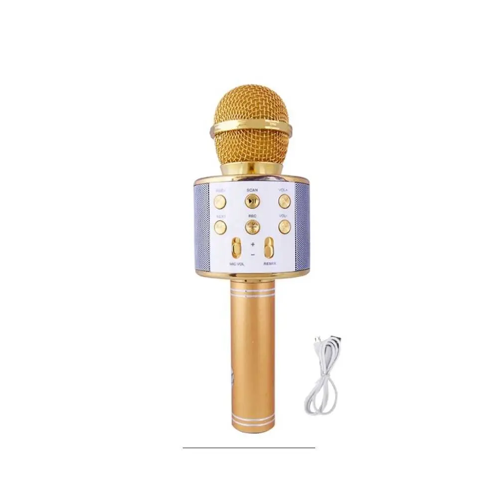 Microphone de karaoké Rechargeable WS-858