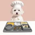 TAPIS EN SILICONE POUR CHIEN