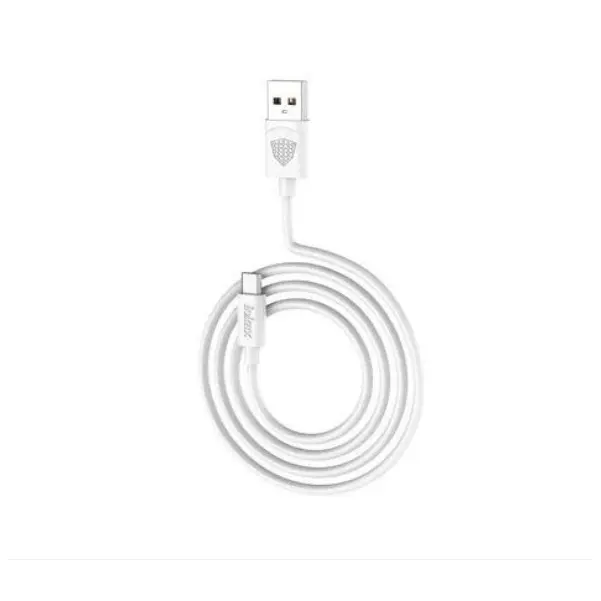 Câble de Chargement Rapide 3.1A USB vers Micro USB